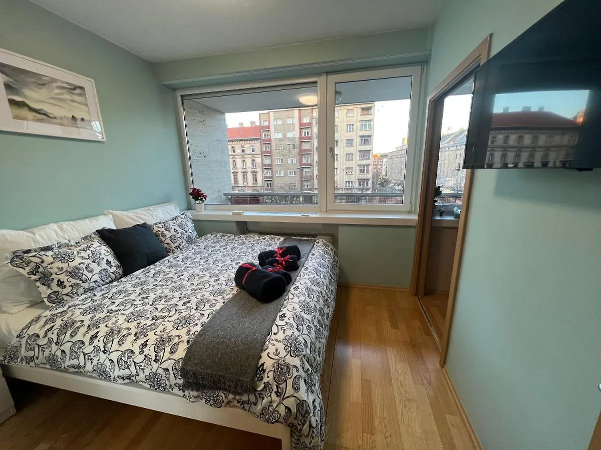 Luxury Apartment Dunapest With Spa And Pool Budapest